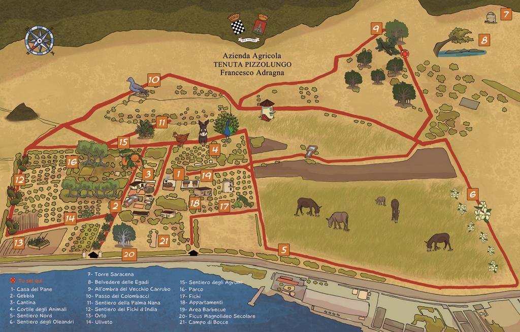Azienda Agrituristica Tenuta Pizzolungo 埃里切 外观 照片