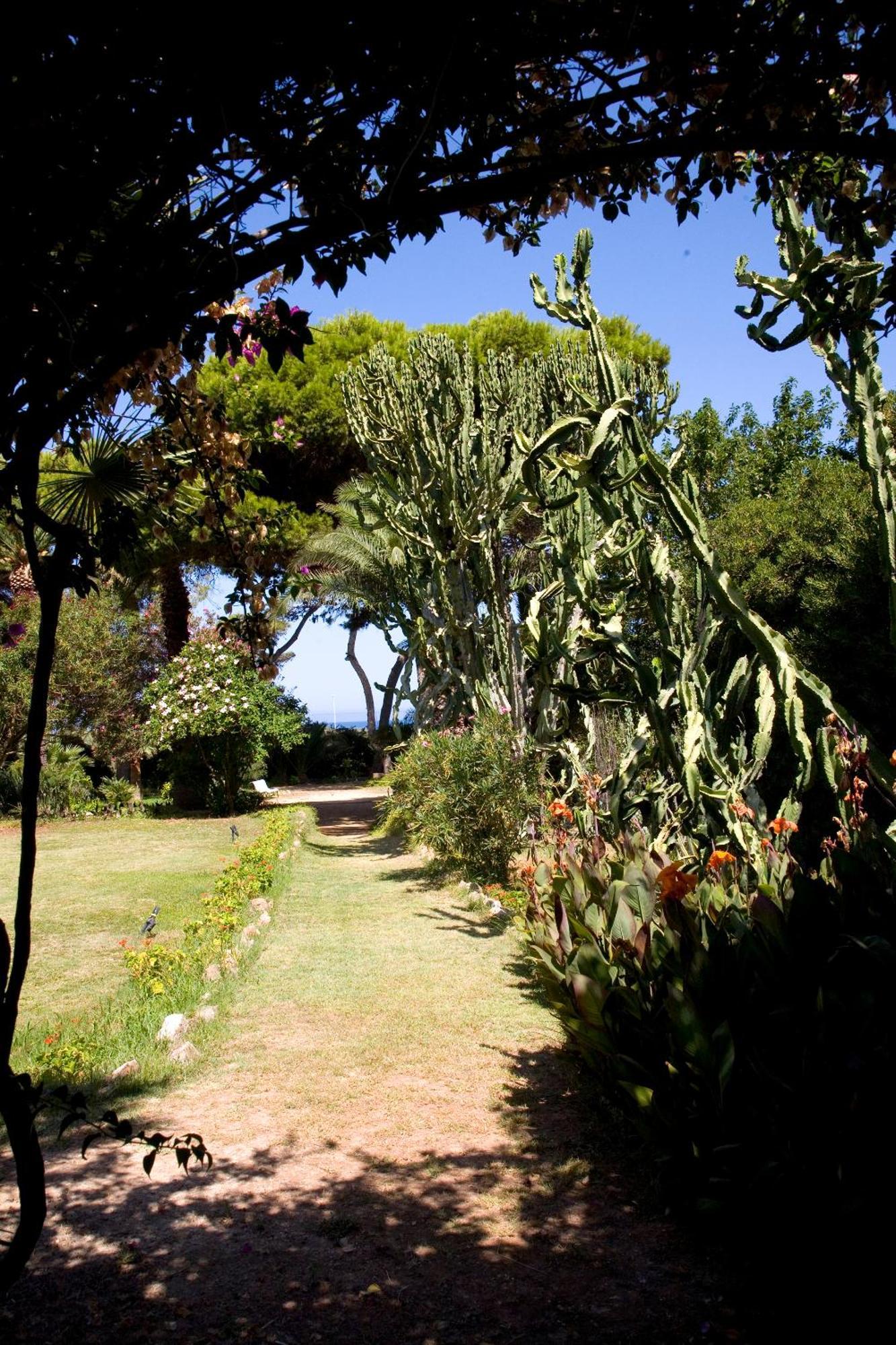 Azienda Agrituristica Tenuta Pizzolungo 埃里切 外观 照片