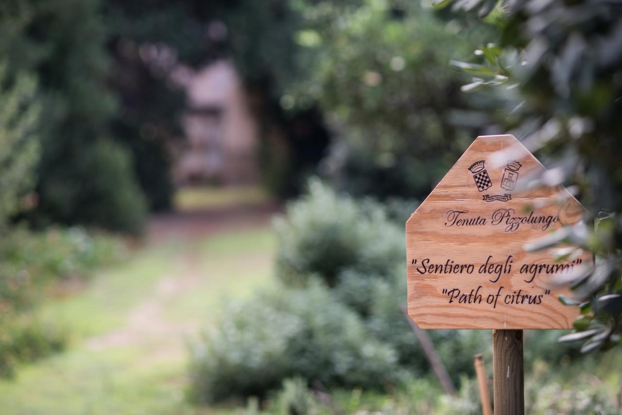 Azienda Agrituristica Tenuta Pizzolungo 埃里切 外观 照片