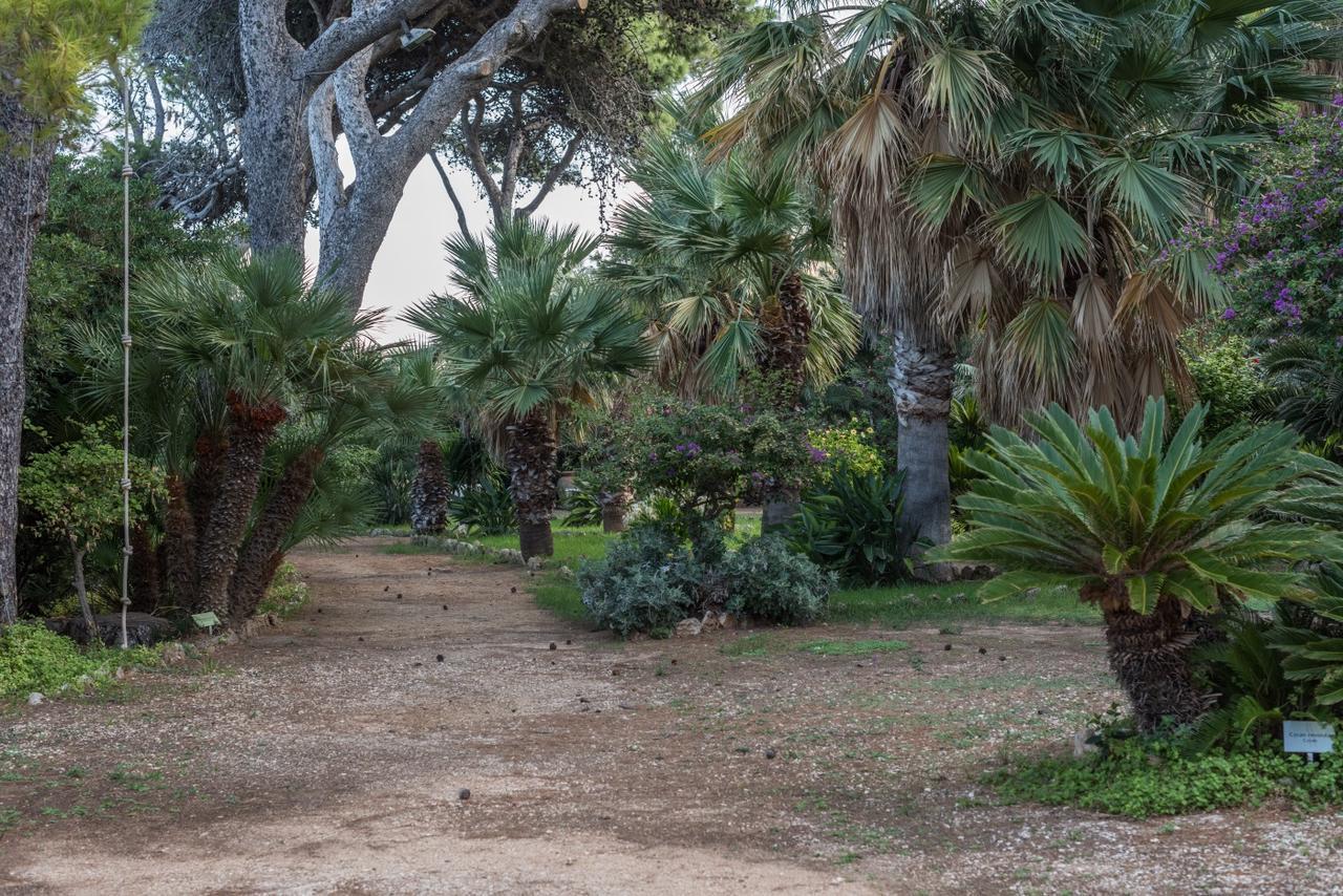 Azienda Agrituristica Tenuta Pizzolungo 埃里切 外观 照片