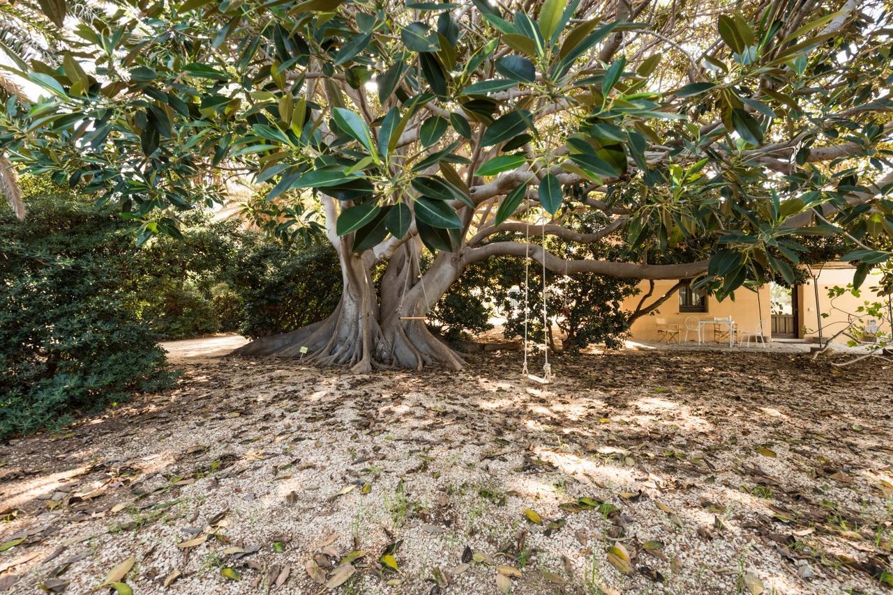 Azienda Agrituristica Tenuta Pizzolungo 埃里切 外观 照片
