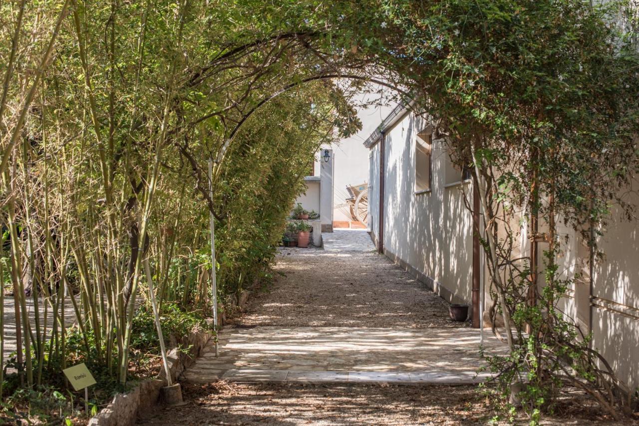 Azienda Agrituristica Tenuta Pizzolungo 埃里切 外观 照片