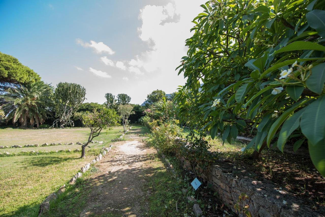 Azienda Agrituristica Tenuta Pizzolungo 埃里切 外观 照片
